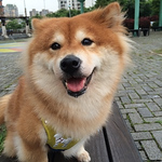 Steven Shen - Flickr Profile Picture of Steven Shen (@syshen) on Flickr