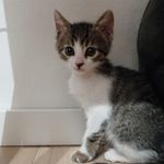 Profile Picture of Jonathan Weisbrot (@jonathanweisbrot) on Instagram