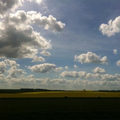 Profile Picture of Lance Lim (@lanceplim) on Twitter