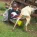 Profile Picture of Alfred Major (@alfred.major.524) on Facebook