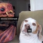 Profile Picture of Brittany James (@brittanyjames4007) on Instagram