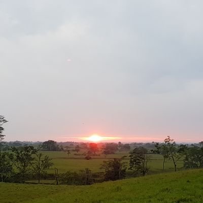 Profile Picture of Sebastian Correa. (@secorsa1) on Twitter