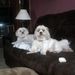 Profile Picture of Tami Hurd (@hjtami) on Pinterest