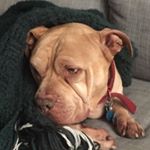 Profile Picture of Robert Trimble (@roberttphilly) on Instagram