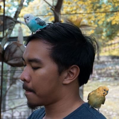 Profile Picture of Kris Kyle ❄ (@coolstorykyleee) on Twitter