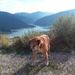 Profile Picture of Joel Urgo (@joelurgo) on Pinterest