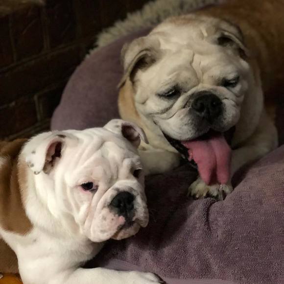 Profile Picture of Vicki Haught (@vickihaught) on Poshmark