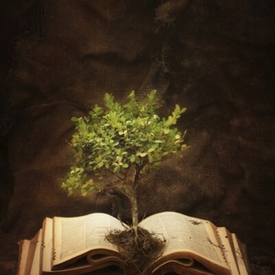 Profile Picture of DelanceyPlace (@delanceyplace) on Twitter