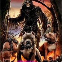 Profile Picture of Joe Spino (@spino_joe) on Twitter