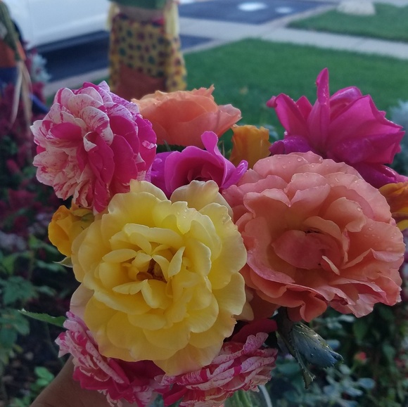 Profile Picture of Adriana Burciaga (@burciagabk) on Poshmark