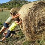 Profile Picture of Jaime Daza Mayol (@dazamayol) on Instagram