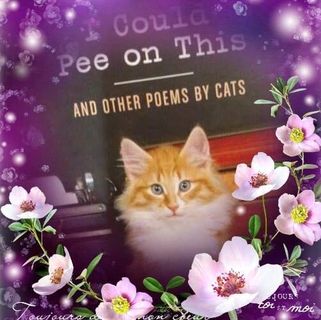 Profile Picture of Kris Moeller (@kris.moeller.75) on Facebook