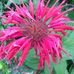 Profile Picture of Phyllis Coombs (@Phyllis-Coombs) on Facebook