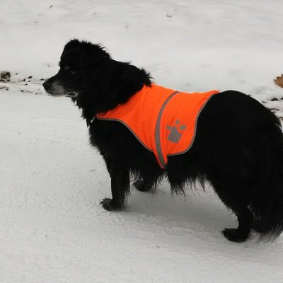 Profile Picture of Jeff Benham (@packercruising) on Twitter