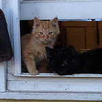 Profile Picture of Robert Brooks (@robertbrooks1) on Flickr