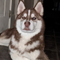 Profile Picture of Erik Hansen (@erik-hansen-260) on Quora