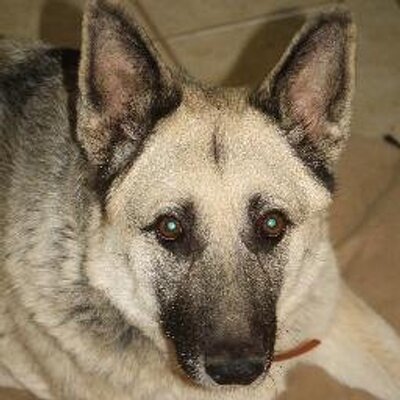 Profile Picture of Kevin Buie (@kandbsupplies) on Twitter