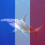 Profile Picture of Mark Czerwinski (@czerwinskimark) on Instagram