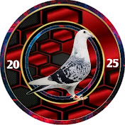 Profile Picture of LARRY LOFT TV (@kalapatidsnaragtv) on Youtube