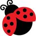 Profile Picture of Lenora Moody (@lcmoody77) on Pinterest