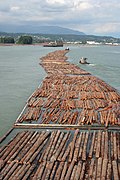 Profile Picture of Timber raftingon Wikipedia