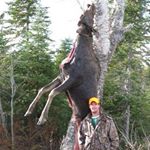 Profile Picture of Greg Austin (@greg.austin.589) on Instagram