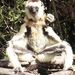 Profile Picture of Ian O'Bryan (@eocenevergreen) on Pinterest