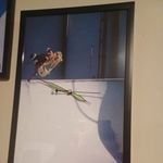 Profile Picture of Joseph Brannon (@jebcoent45) on Instagram