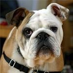 Profile Picture of Thomas Ramsey (@thomas.ramsey.549) on Instagram