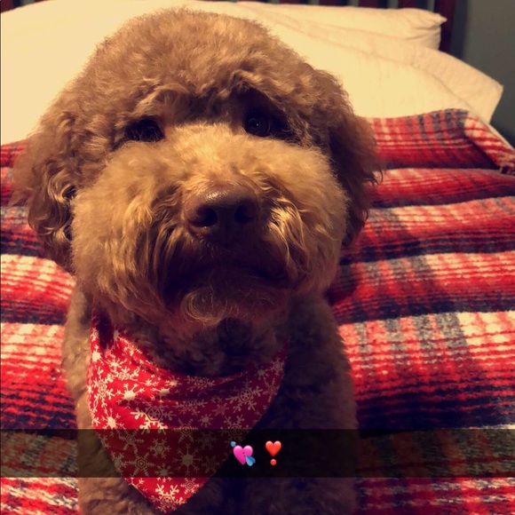 Profile Picture of Lexi Heltmach (@alexi1318) on Poshmark