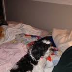 Profile Picture of Carol Ensman (@carol.ensman) on Facebook