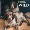 Profile Picture of Adrian Bridger686 (@adrianbridger686) on Tiktok