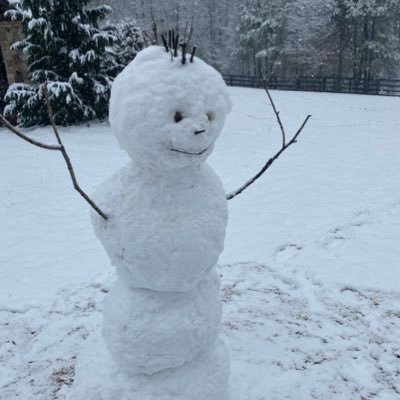 Profile Picture of Juan Da Silva (@JuanofForest) on Twitter