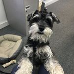 Profile Picture of eric (@ericcindric) on Instagram