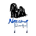 Profile Picture of Kim Johansen (@ngesonglhasaapso) on Instagram