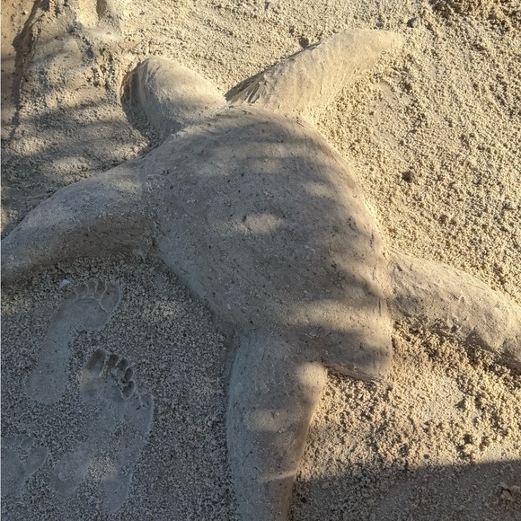 Profile Picture of Trinity Shewmaker (@trinityjo768) on Poshmark