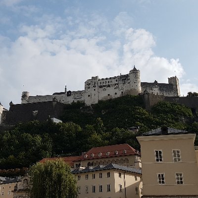 Profile Picture of David Liedtke (@DavidLiedtke5) on Twitter