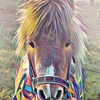 Profile Picture of Yvonne Singleton (@@yvonnasingo) on Tiktok