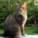 Profile Picture of craig_gagne (@craig_gagne) on Instagram