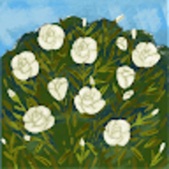 Profile Picture of Lila Samkus (@lilasamkus) on Poshmark