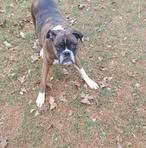 Profile Picture of Shad Wendtland (@shad.wendtland) on Facebook