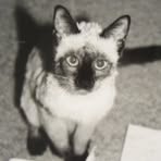 Profile Picture of Christopher Dimler (@christopher.dimler.14) on Facebook