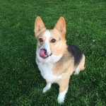 Profile Picture of Maureen Harder (@harderma) on Instagram