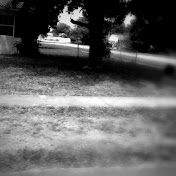 Profile Picture of Claudio Avendano (@PegasusBrony652) on Youtube