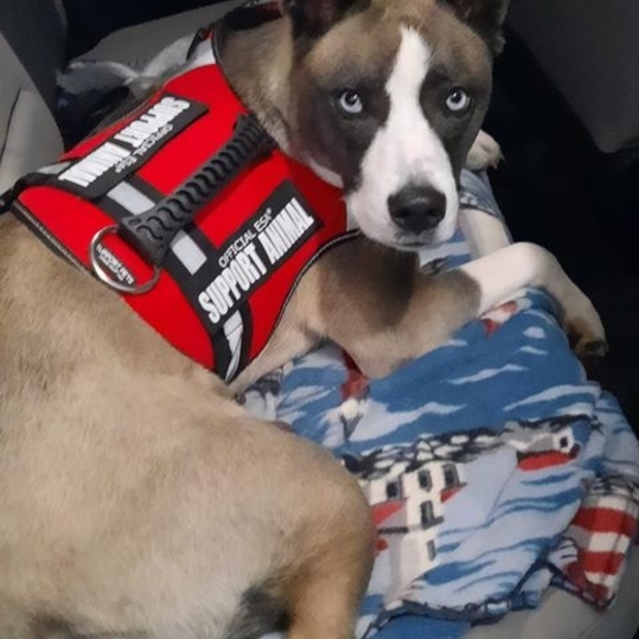 Profile Picture of Kristin Malsch (@kristinclark66) on Poshmark