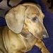 Profile Picture of Doris Kruppstadt (@dkruppstadt) on Pinterest