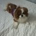 Profile Picture of Jeng Jeng (@Jeng-Jeng) on Facebook