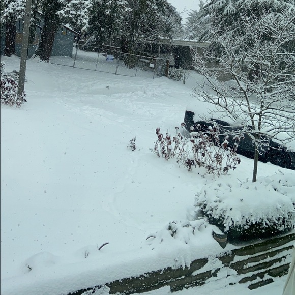 Profile Picture of Chia-hui Lin (@nage82822) on Poshmark