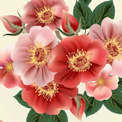 Profile Picture of Swati  Kumar (@swatikumar8430) on Youtube