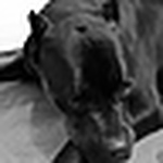 Profile Picture of Jeremy Smith (@@truman) on Flickr